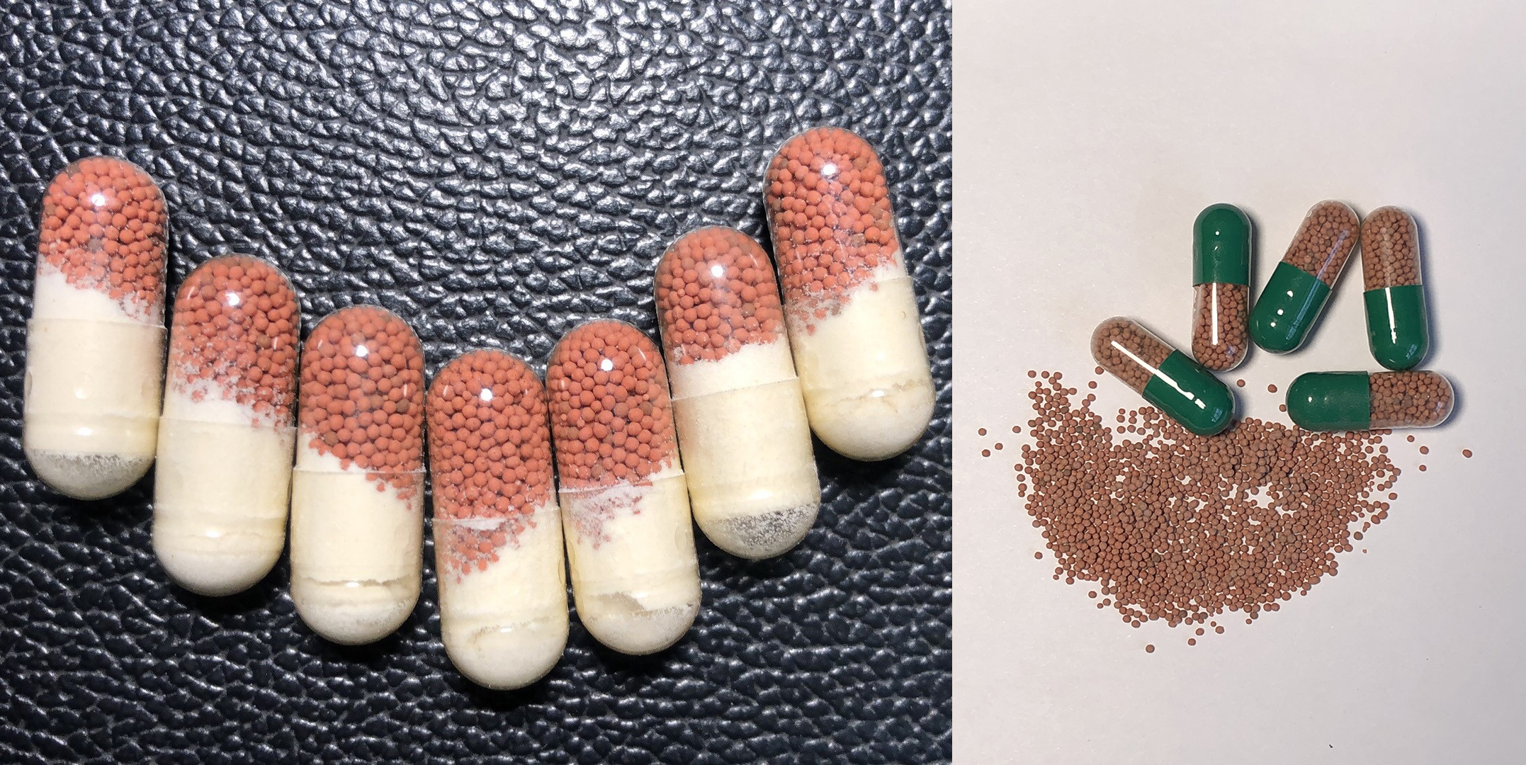 분말 및 마이크로펠렛 캡슐